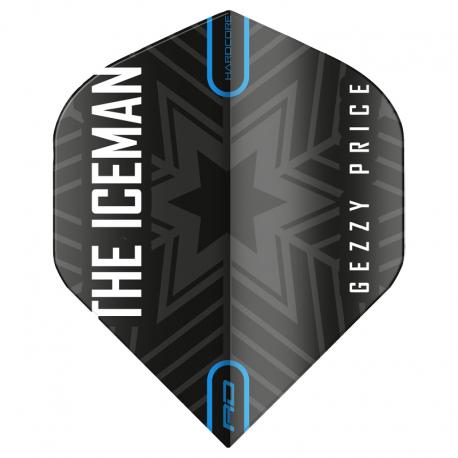 Gerwyn Price standard
