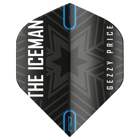 Gerwyn Price standard