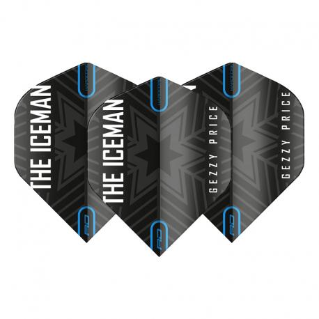 Gerwyn Price standard