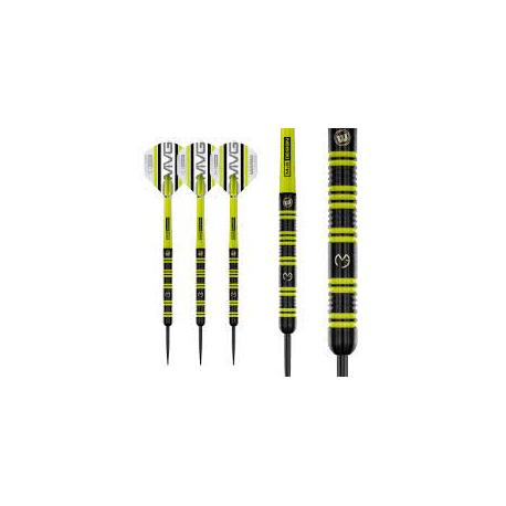 Michael Van Gerwen 85% 23g