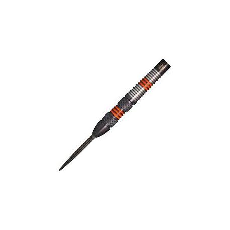 Raymond van Barneveld 80% black 21g, 23g